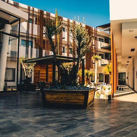 Hotel Mina Real מטהואלה מראה חיצוני תמונה