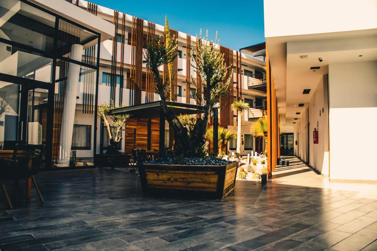 Hotel Mina Real מטהואלה מראה חיצוני תמונה